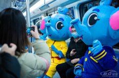郑州地铁吉祥物小象“晶晶”也会在地铁空间中首次露面