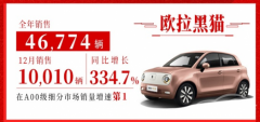 欧拉黑猫12月销量破万！这份年终总结亮了