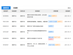 <b>理想汽车隐瞒新款、涉嫌诱导用户买老款“清库存” 车主称老车贬值10万</b>