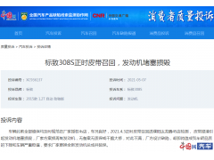 标致308S正时皮带掉渣致发动机损毁！