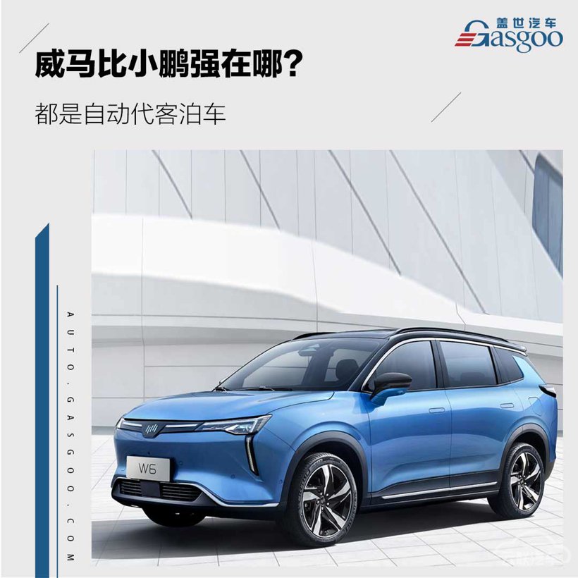 威马，自动泊车,智能驾驶