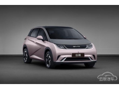 比亚迪EA1定名海豚 年轻萌动、搭刀片电池