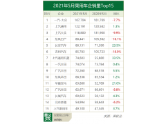 <b>5月销量：大众同比再跌 H6重夺SUV销冠，宏光MINI冲前三？</b>