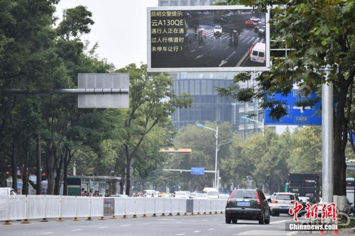 资料图：昆明街头的电子屏曝光不礼让斑马线车辆。中新社记者 任东 摄