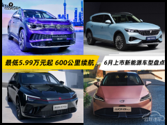 最低5.99万元起 多款续航超600公里 6月