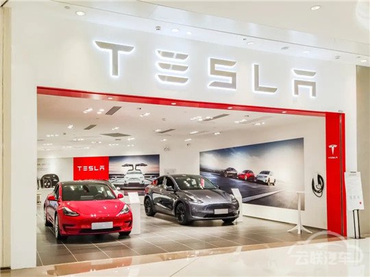 ˹Model YModel Y,Model 3