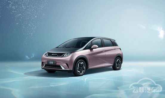 新车,比亚迪,海豚,比亚迪,新车 新车,比亚迪,海豚,比亚迪,新车