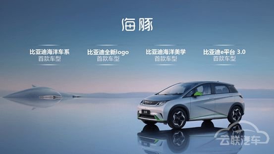 新车,比亚迪,海豚,比亚迪,新车 新车,比亚迪,海豚,比亚迪,新车