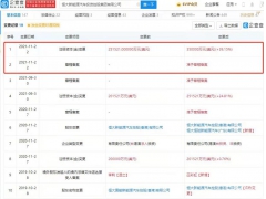 <b>恒大近10亿美元增资新能源汽车相关业务</b>