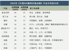 2022年中国500最具价值品牌 汽车行业比