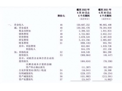 <b>比亚迪今年上半年营收1506.07亿元</b>