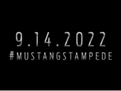 ȫMustang14 ȫGTʶ
