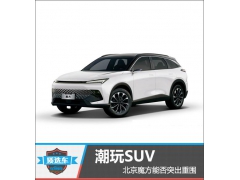 <b>质选车：潮玩SUV 北京魔方能否突出重围</b>