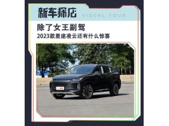 除女王副驾 2023款星途凌云还有什么惊喜