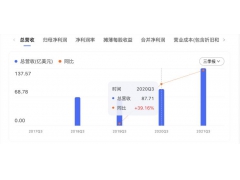 多个关键指标创纪录 特斯拉三季度财