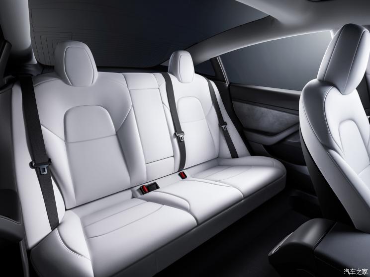 ˹ڣ Model 3() 2021 
