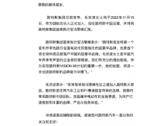 毛京波出任路特斯中国总裁 向CEO冯擎峰汇报