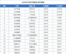 5月畅销轿车中豪华车销量暴涨，帕萨