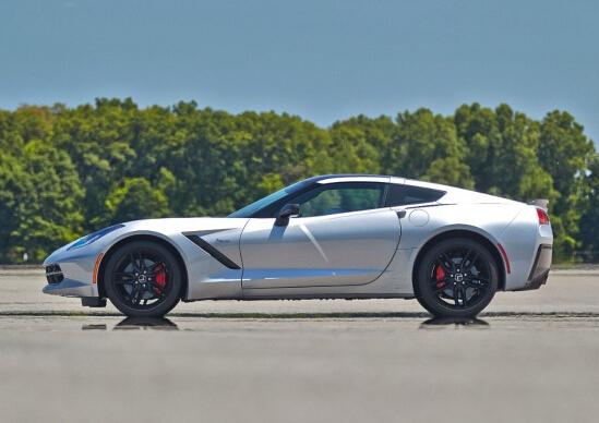 ҹѩ˶άStingray