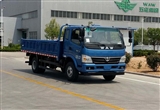 因存超标排放风险 召回奥驰载货汽车