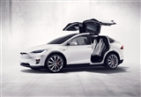 ΰ ˹ٻؽModel X