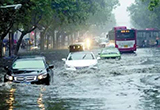 又到一年“观海”季 雨天开车不用慌