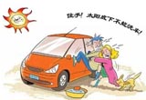 请勿对号入座 最毁车的保养八戒