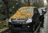 爱车需动静皆宜 久放再驶当心爱车“猝死”
