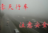 “雾”必注意 雾中行驶的“指示灯”技巧！