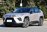 Լݲ2020³Ʒ