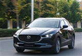 Լݲȫγ൱ ԼԴCX-30ѹȼ