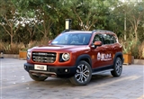 ԼݲʵĻ Լ2020
