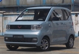Լݲдѡ ԼMINI EV