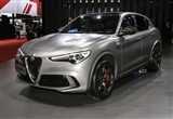 Լݲʽ鼫¼Ȥ ϲ֮Stelvio