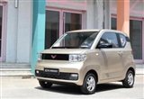 Լݲ¶ MINI EVԼ