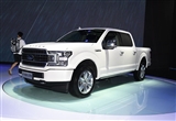 ԼݲʽӲǿ F-150 LTD