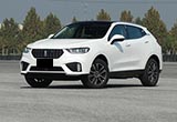 ԼݲԼ2020WEY VV5 ΢/θ