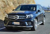 ԼݲԽʵ 鱼GLS 500