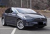 ԼݲĶֺʱִս Լ˹Model X
